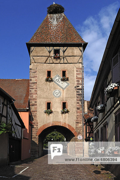 Obertor  alter Torturm mit einem Storchennest auf dem Dach  Grand'Rue  Ammerschwihr  Elsass  Frankreich  Europa