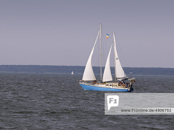 Old sailing ship with tourists on Mueritz lake  Mecklenburg Lake District  Mecklenburg-Western Pomerania  Germany  Europe
