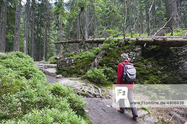 Woman hiking in the forest near Arbersee lake  Bavarian Forest National Park  Lower Bavaria  Germany  Europe