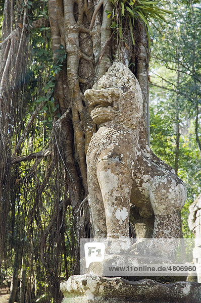 Steinfigur im Dschungel  Preah Khan Tempel  Angkor Tempel  Siem Reap  Kambodscha  Indochina  Südostasien