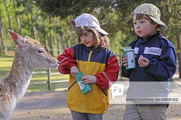 Kinder im Tierpark füttern ein Reh
