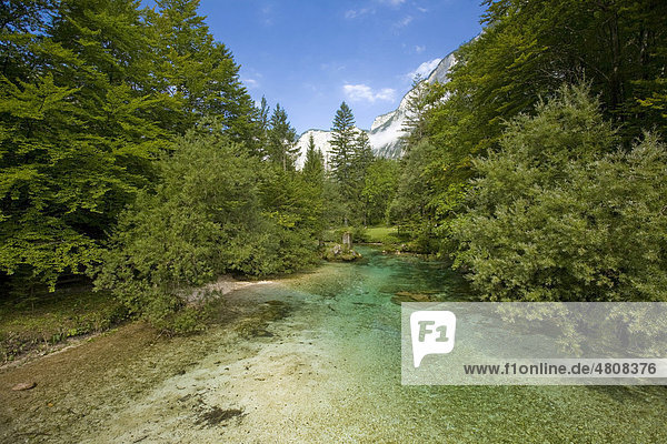 Nationalpark Triglav  Slowenien  Europa