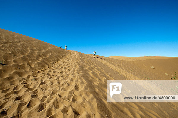 Tourists walking to the Dead Vlei  Sossusvlei  Naukluft Park  Central Namib Desert  Namibia  Africa