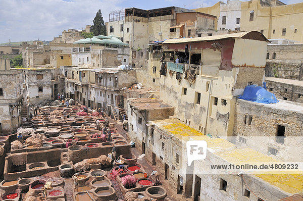 Tanning and dying district Chouwara  old town Fes el Bali  Fez  Morocco  Africa