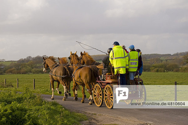 Vier Pferde ziehen eine Kutsche auf einem Feldweg  Tincleton  Dorset  England  Großbritannien  Europa