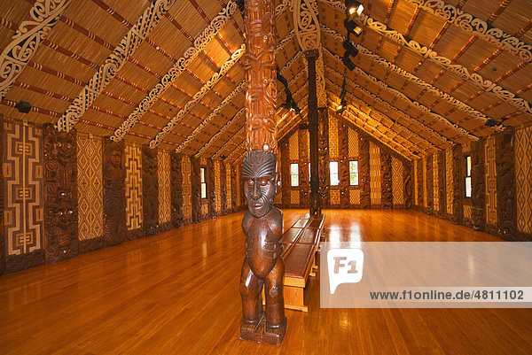 Maori wooden carvings  Whare Runanga meeting house  Waitangi Treaty Grounds  Bay of Islands  North Island  New Zealand