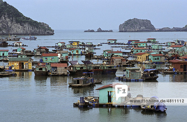 Schwimmendes Dorf  Hafen  Cat Ba Insel  Halong-Bucht  Vietnam  Südostasien
