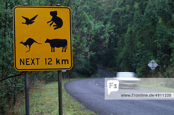 Wild-Warnschild  Bundesstaat Victoria  Australien