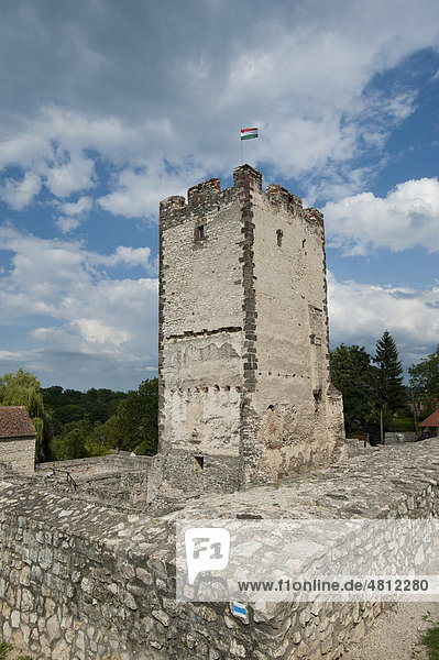 Burg Kinizsi  Ungarn  Europa