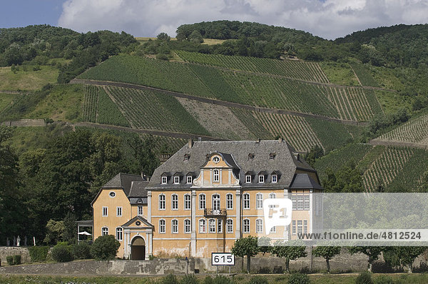 Schloss Marienburg  Leutesdorf  Barockschloss  Rhein  dahinter Weinberge  Rheinland-Pfalz  Deutschland  Europa