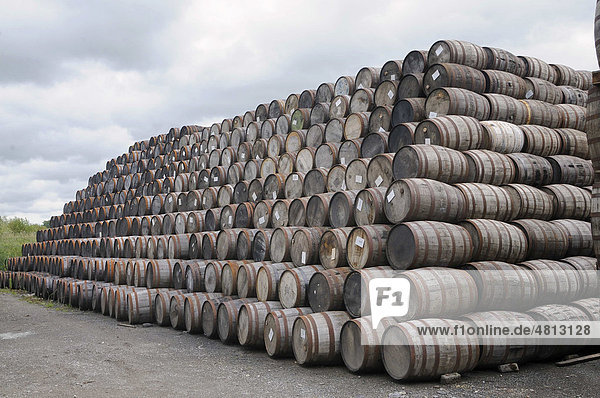 Stacked wooden whiskey barrels  oldest licensed whiskey distillery in the world  Locke's Distillery  Kilbeggan  Westmeath  Midlands  Republic of Ireland  Europe