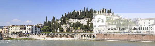 Castel San Pietro inmitten von Zypressen  Verona  Venetien  Italien  Europa