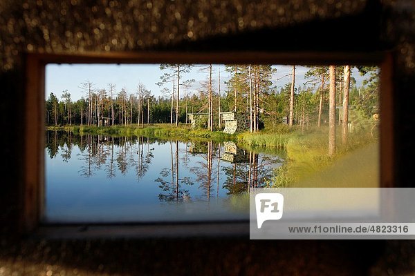 Hides for observing brown bears around a lake in the finnish Taiga