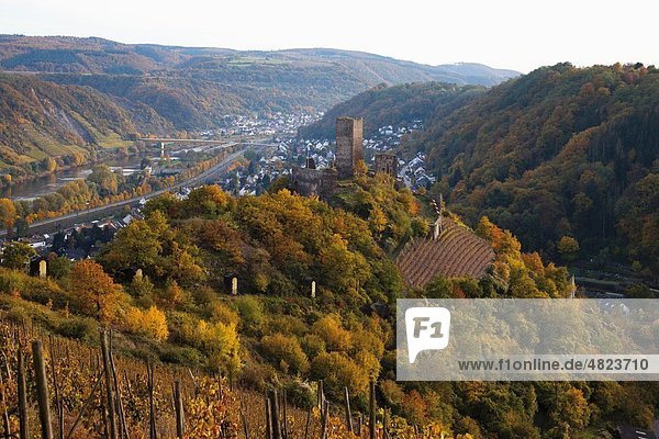 Europa  Deutschland  Rheinland-Pfalz  Blick auf Schloss Niederburg