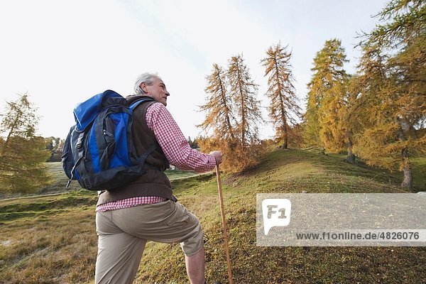 Italy  South Tyrol  Mature man hiking at dolomites