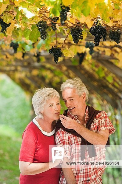 Italien  Südtirol  reifes Paar im Weinberg
