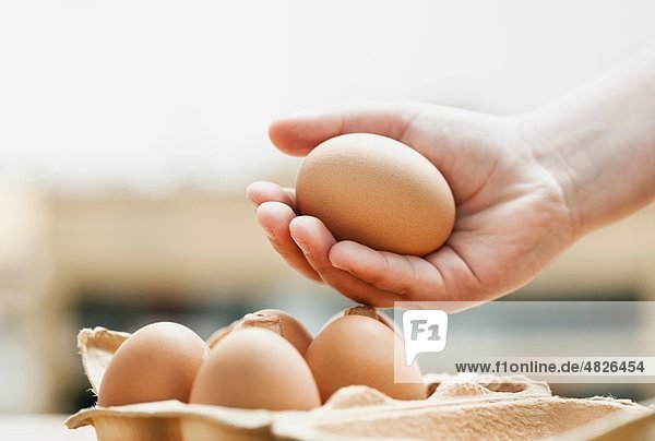 Deutschland    Menschliche Hand hält Eier  Nahaufnahme