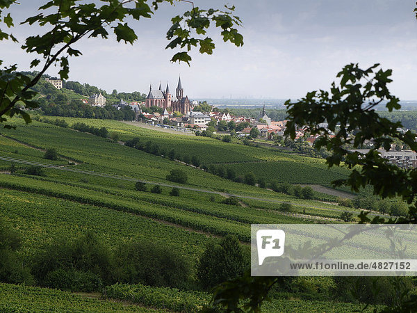 Weinbauregion Oppenheim mit Katharinenkirche  Oppenheim  Rheinhessen  Rheinland-Pfalz  Deutschland  Europa