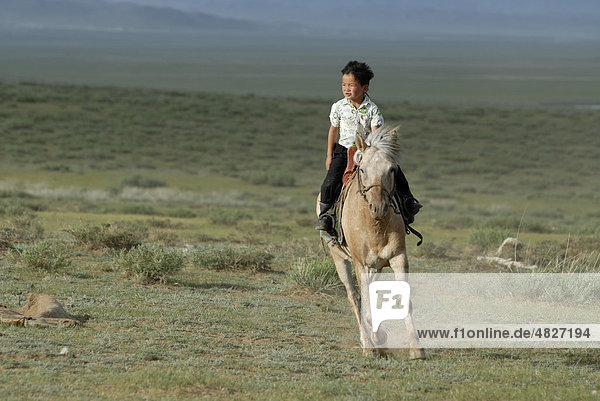 Kleiner 6jähriger mongolischer Junge reitet im trockenen Grasland ein temperamentvolles mongolisches Pferd ein  Lun  Töv Aimak  Mongolei  Asien
