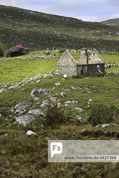 Ruine eines Hauses  Connemara  County Galway  Republik Irland  Europa