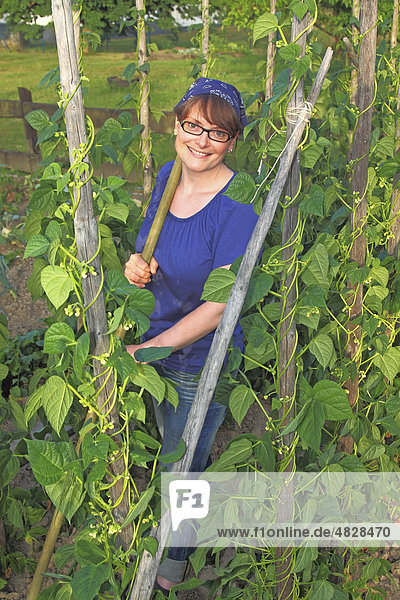 Junge Frau bei der Gartenarbeit zwischen Stangenbohnen in einem Bio-Hausgarten