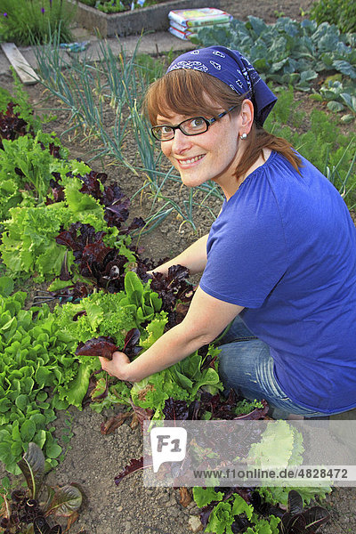 Young woman gardening  working in an organic home garden