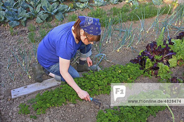 Junge Frau bei der Gartenarbeit in einem Bio-Hausgarten