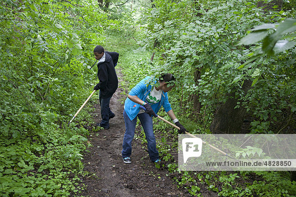 Volunteers work on a nature trail to remove invasive garlic mustard in Eliza Howell Park  Detroit  Michigan  USA