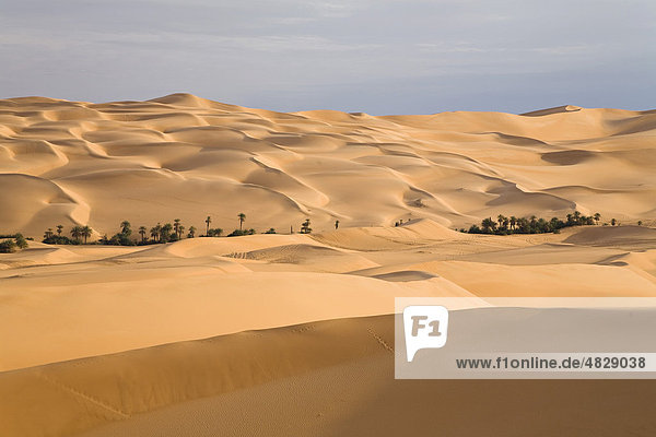 Oase Um el Ma und Sanddünen  libysche Wüste  Libyen  Sahara  Nordafrika  Afrika