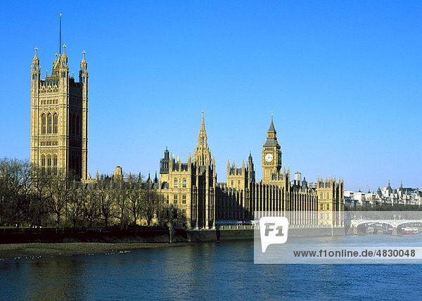 Big Ben  St. Stephen's Tower  Westminster Palace and the river Thames