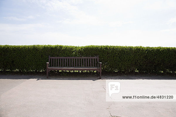 Bench and hedge on promenade
