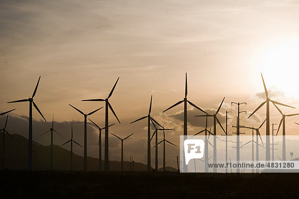 Wind farm  Indian Wells  California  USA