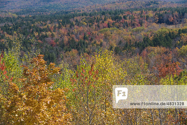 Scenery  Vermont  USA