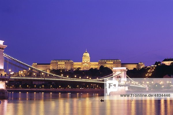 Bridge  Buda  Budapest  Chain  Danube river  Holiday  Hungary  Europe  Landmark  Night  Royal palace  Szechenyi  Tourism  Travel