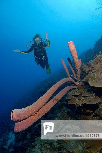 Karibisches Meer Curacao