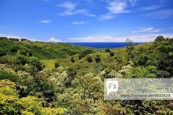Vereinigte Staaten von Amerika USA Pazifischer Ozean Pazifik Stiller Ozean Großer Ozean Hawaii Maui