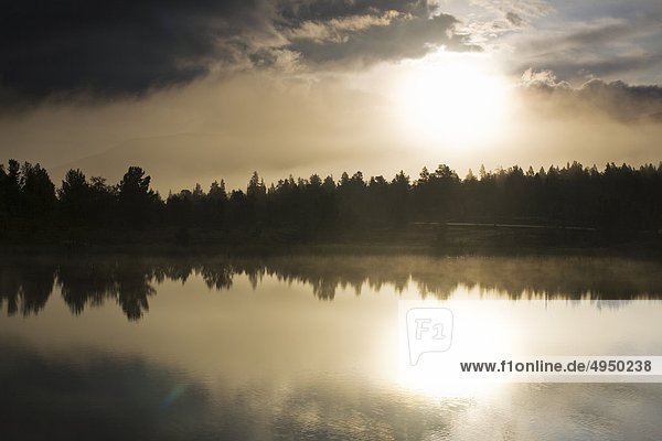 Forest reflektieren in Lake bei Sonnenaufgang
