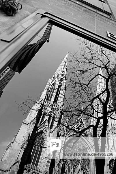 Einkaufszentrum  Fotografie  Fenster  Kathedrale  Spiegel  neu