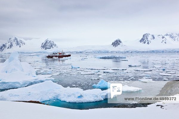 Südatlantik  Antarktis  Antarktische Halbinsel  Lemaire Kanal  Yalour Inseln  Polar Star Eisbrecher Kreuzfahrtschiff zwischen Eisbergen auf See