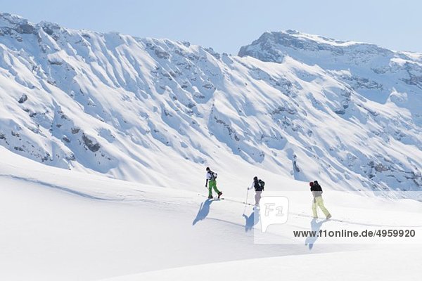 Italy  Trentino-Alto Adige  Alto Adige  Bolzano  Seiser Alm  Group of people on ski tour