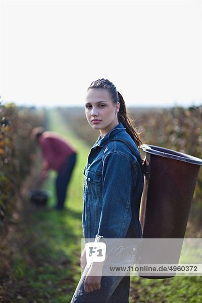 Croatia  Baranja  Woman carrying basket at grape harvest