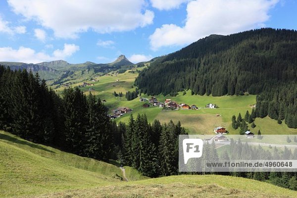 Österreich  Vorarlberg  Bregenzerwald  Blick auf die Berge