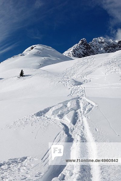 Österreich  Vorarlberg  Blick auf das Skigebiet Zürs und die Hasenfluh