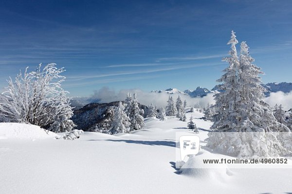 Deutschland  Bayern  Oberbayern  Garmisch-Partenkirchen  Blick auf schneebedeckte Berge