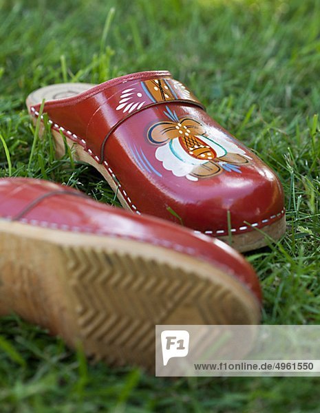 Pair of clogs on grass  close-up