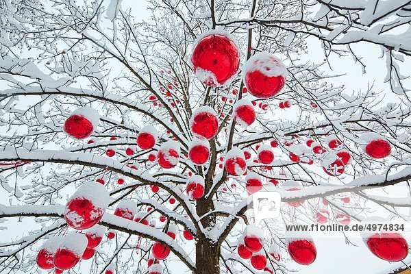 Christmas baubles in snowy tree on the Christmas market in Salzburg Austria