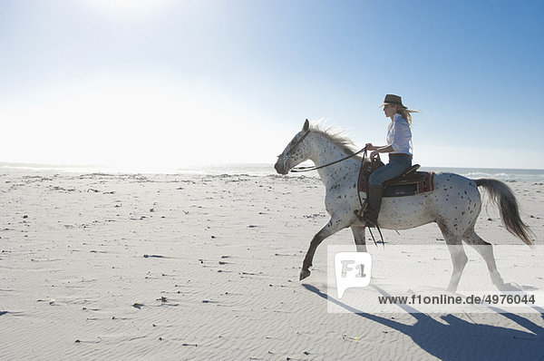 Horseriding in the sand