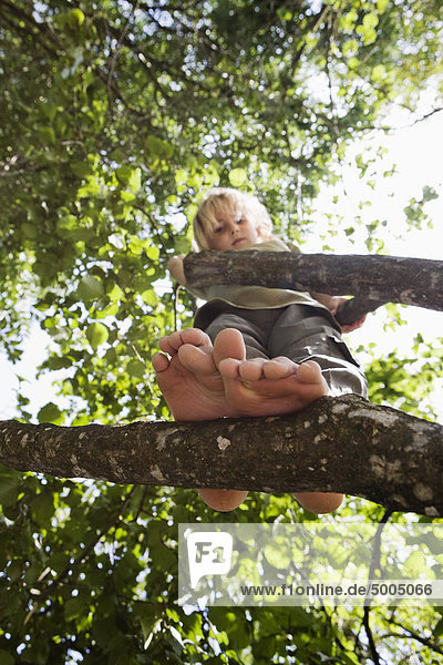 Blick von unten auf ein in einem Baum stehendes Kind