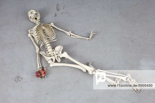 Ein Skelett in der Todespose.