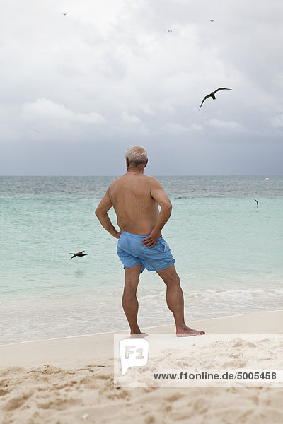 Rear view of a man standing on a beach and looking out to sea